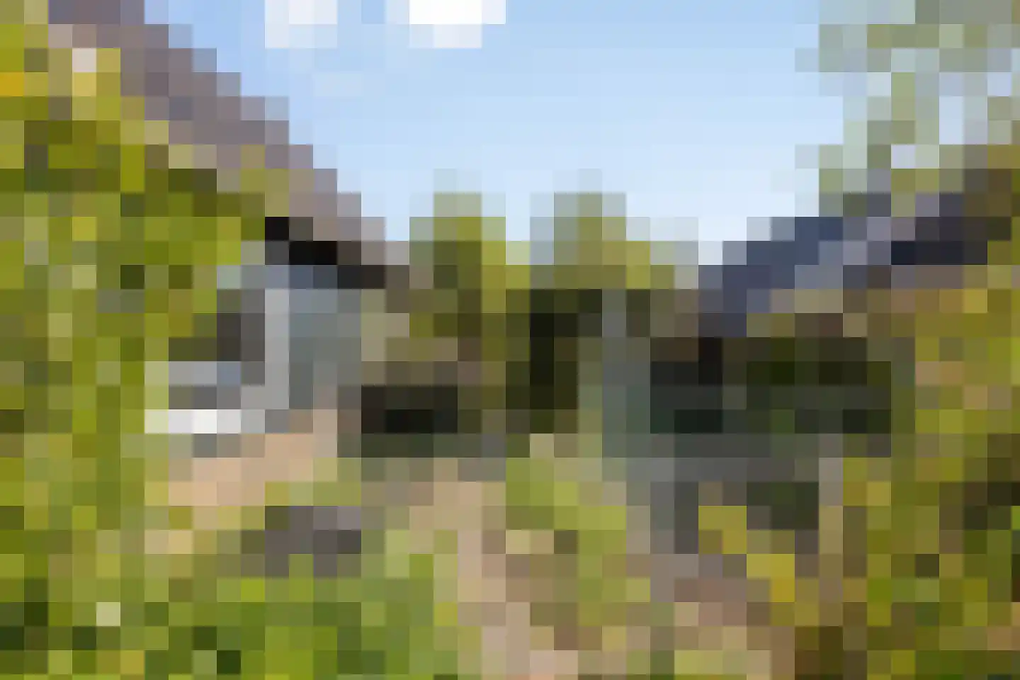IJsseldijk-Noord 376 Ouderkerk aan den IJssel thumbnail 31