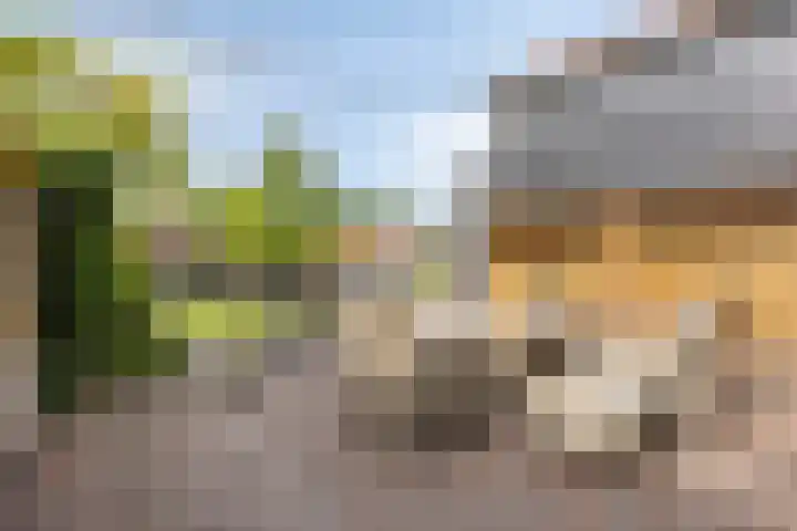 IJsseldijk-Noord 381 Ouderkerk aan den IJssel thumbnail 27
