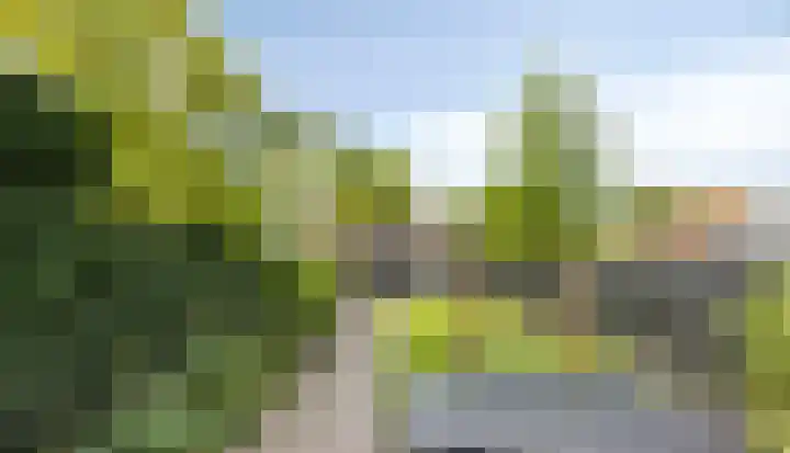 IJsseldijk-Noord 381 Ouderkerk aan den IJssel thumbnail 28