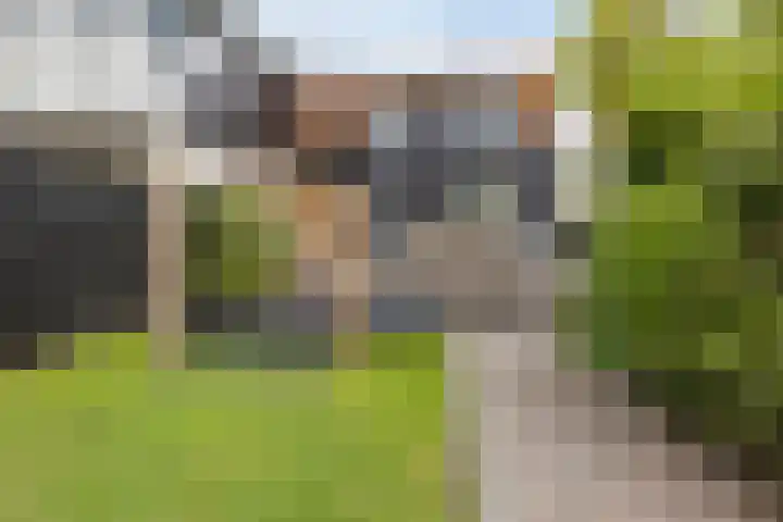 IJsseldijk-Noord 381 Ouderkerk aan den IJssel thumbnail 29