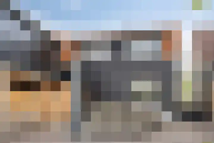 IJsseldijk-Noord 381 Ouderkerk aan den IJssel thumbnail 30