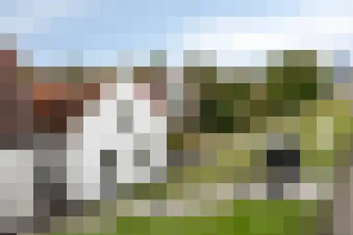 IJsseldijk-Noord 381 Ouderkerk aan den IJssel thumbnail 32