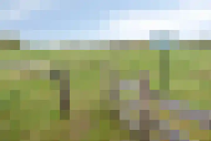 IJsseldijk-Noord 381 Ouderkerk aan den IJssel thumbnail 33