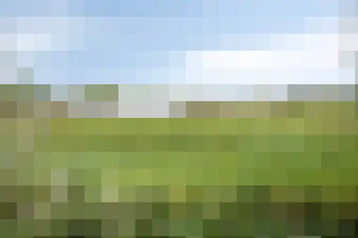 IJsseldijk-Noord 381 Ouderkerk aan den IJssel thumbnail 35