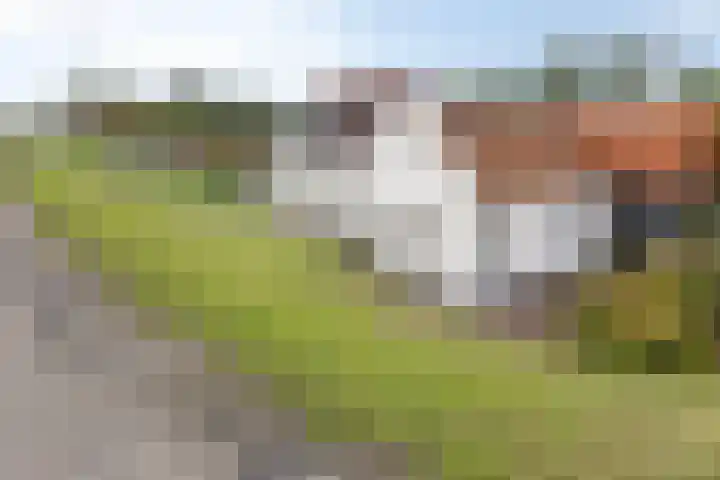 IJsseldijk-Noord 381 Ouderkerk aan den IJssel thumbnail 4