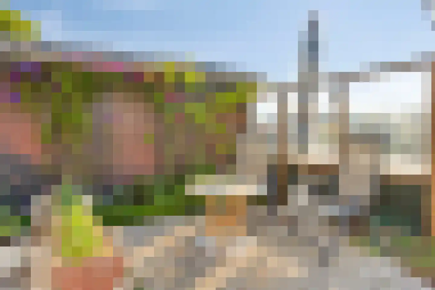 IJsseldijk-Noord 412 Ouderkerk aan den IJssel thumbnail 13