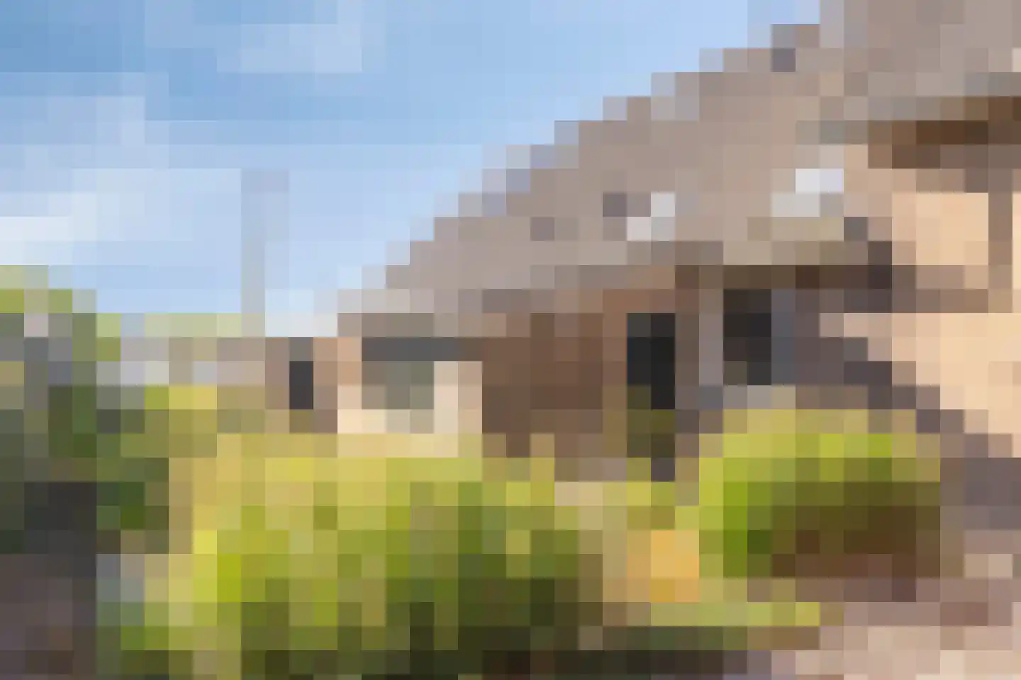 IJsseldijk-Noord 412 Ouderkerk aan den IJssel thumbnail 8