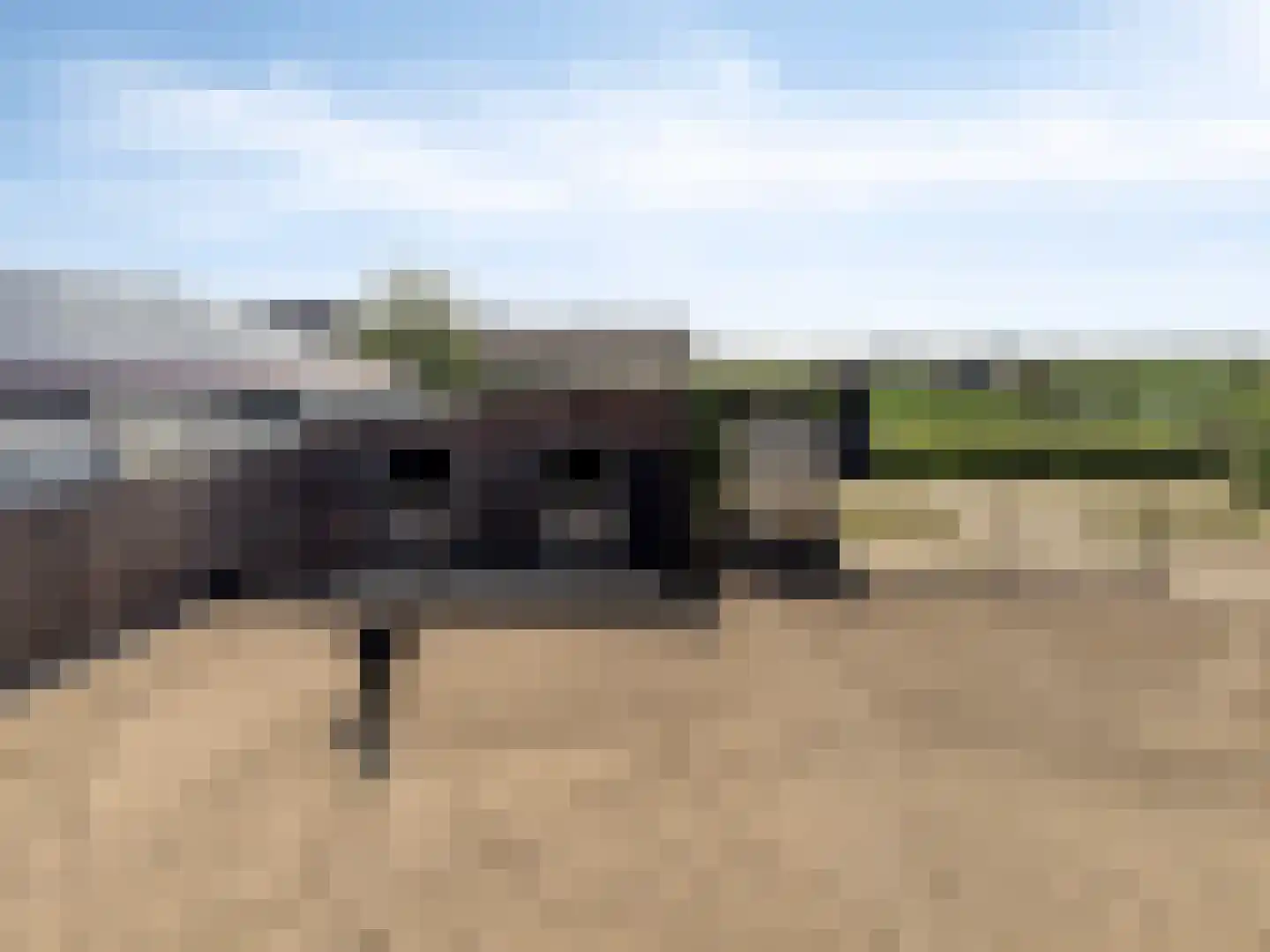 IJsseldijk-Noord 416 Ouderkerk aan den IJssel thumbnail 36