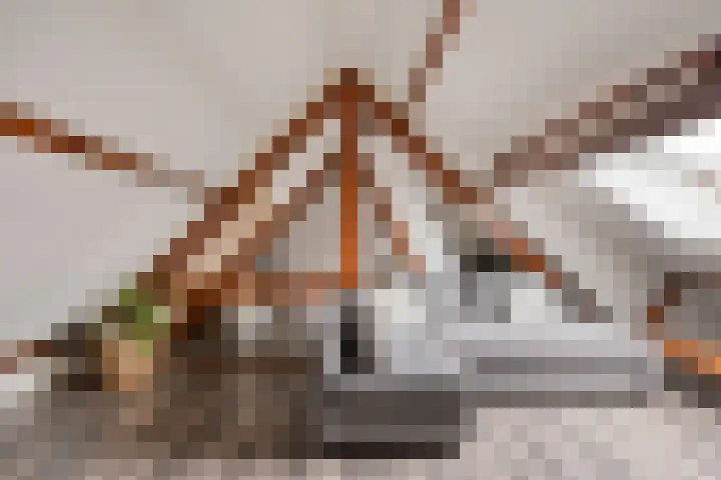 IJsseldijk-Noord 55 Ouderkerk aan den IJssel thumbnail 37