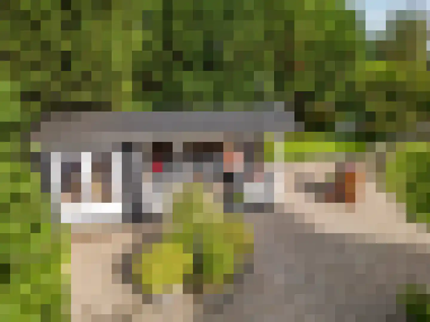 IJsseldijk-Noord 55 Ouderkerk aan den IJssel thumbnail 4