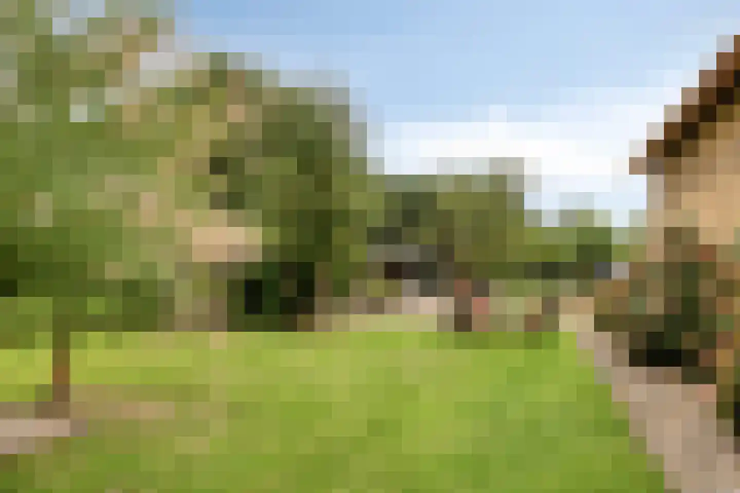 IJsseldijk-Noord 55 Ouderkerk aan den IJssel thumbnail 47