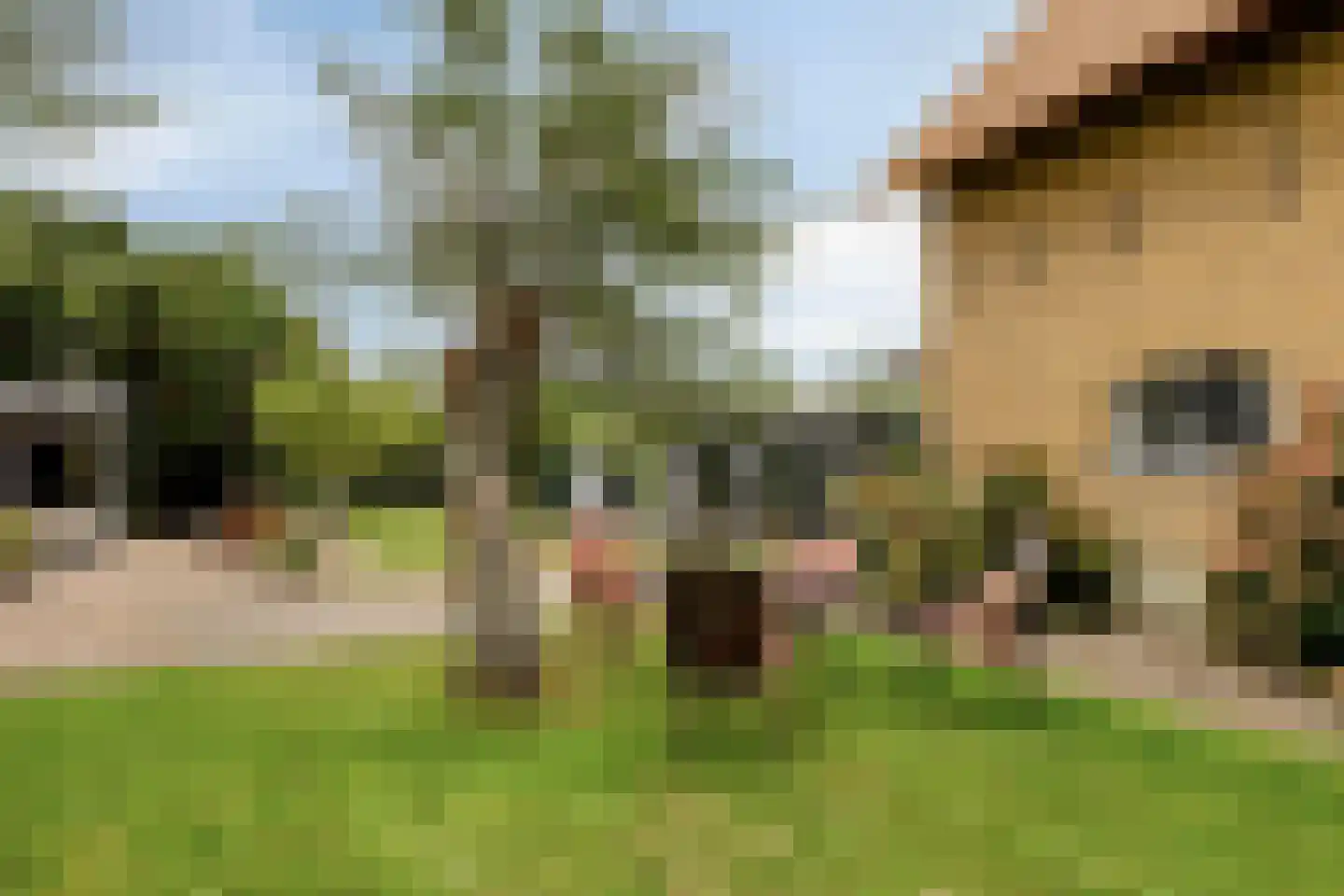 IJsseldijk-Noord 55 Ouderkerk aan den IJssel thumbnail 48
