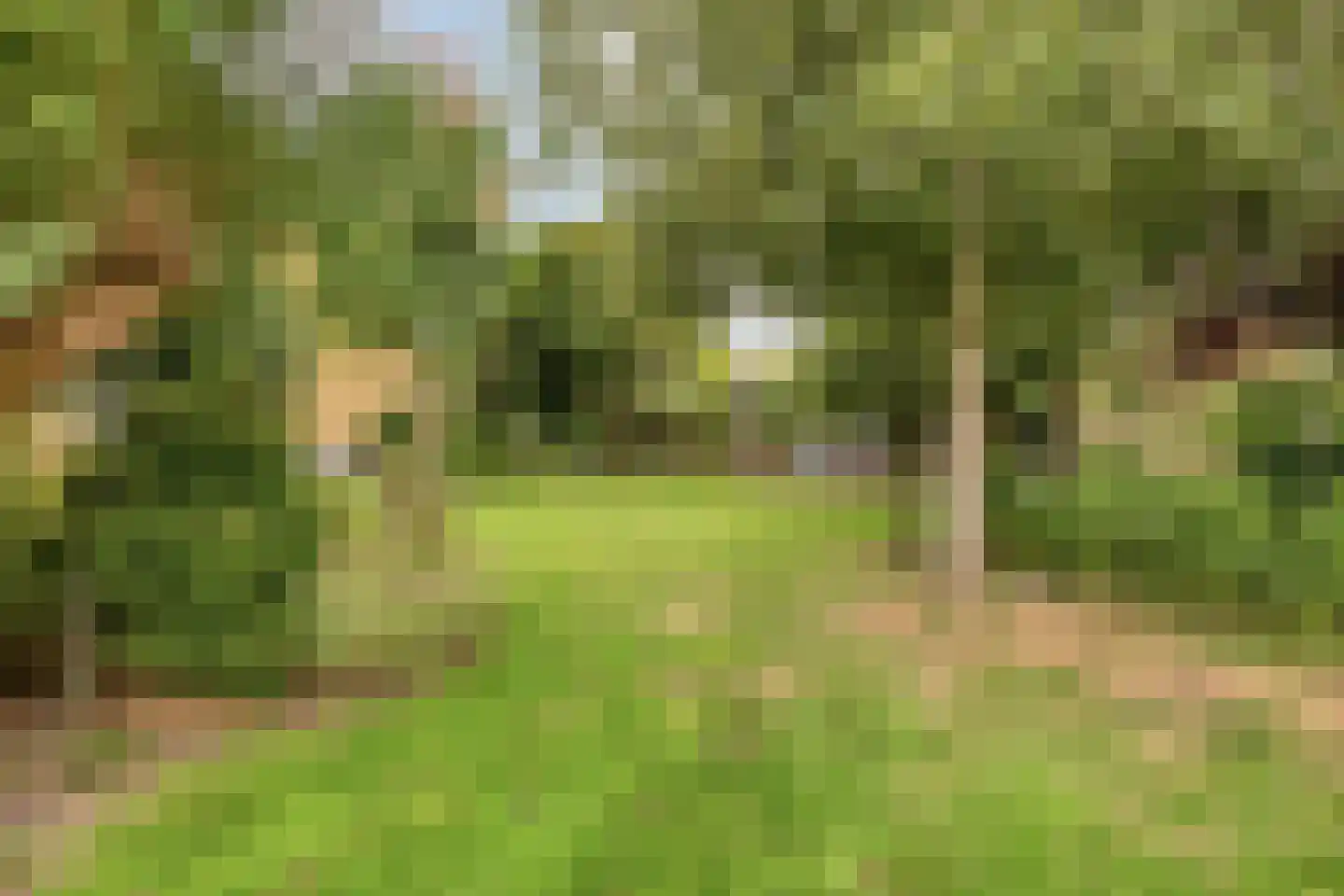 IJsseldijk-Noord 55 Ouderkerk aan den IJssel thumbnail 51