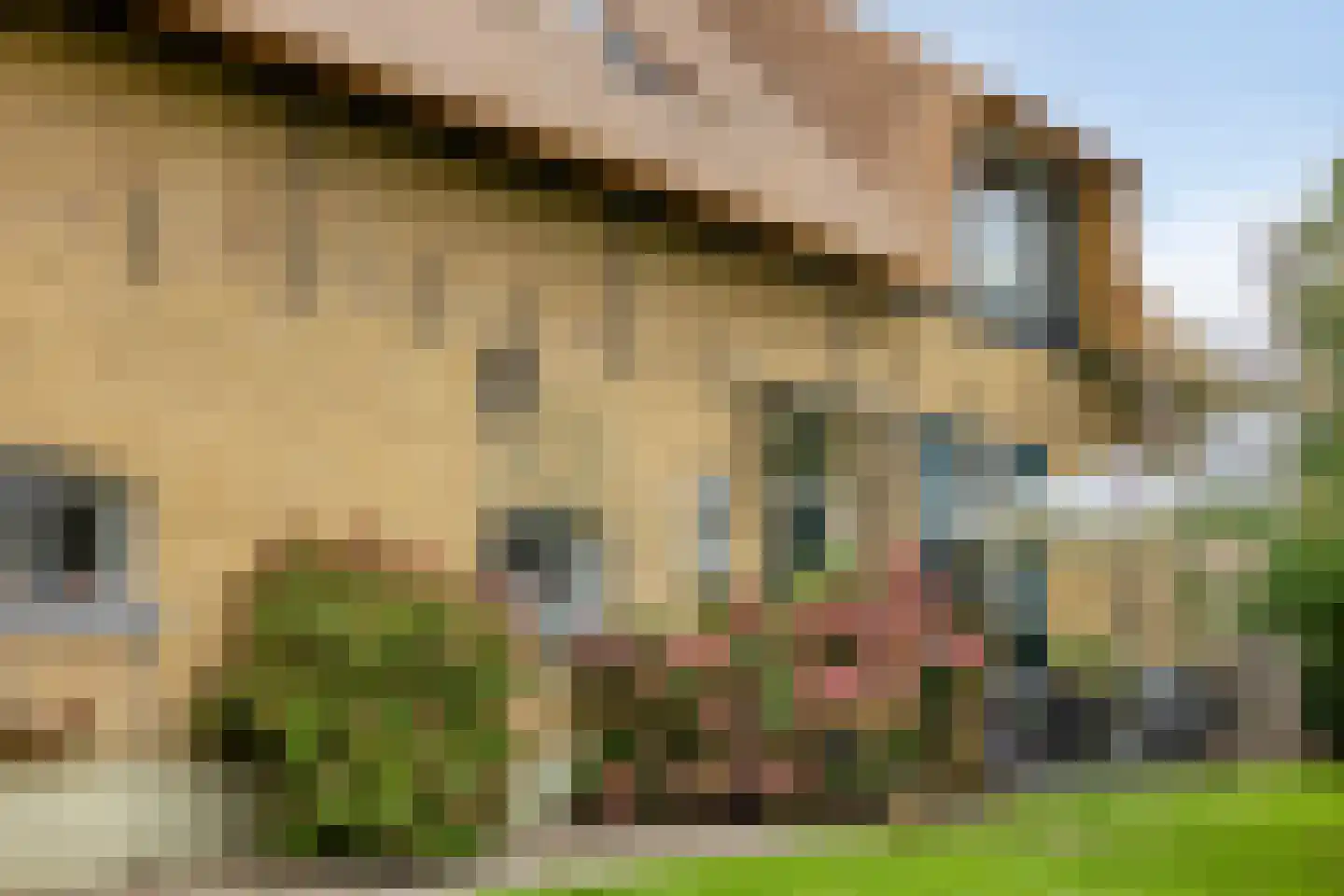 IJsseldijk-Noord 55 Ouderkerk aan den IJssel thumbnail 57