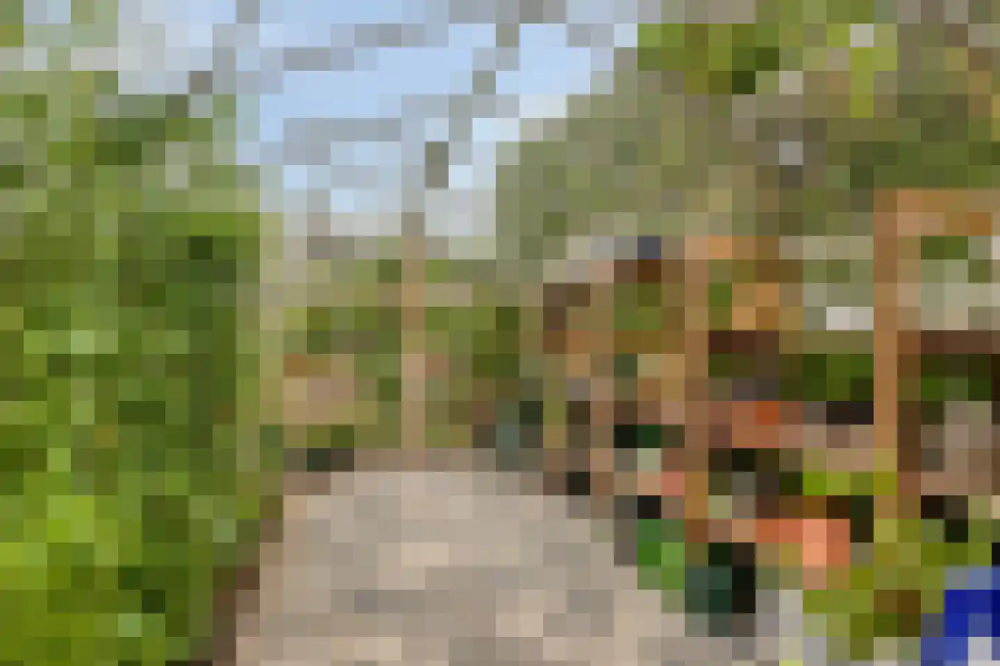 IJsseldijk-Noord 55 Ouderkerk aan den IJssel thumbnail 66