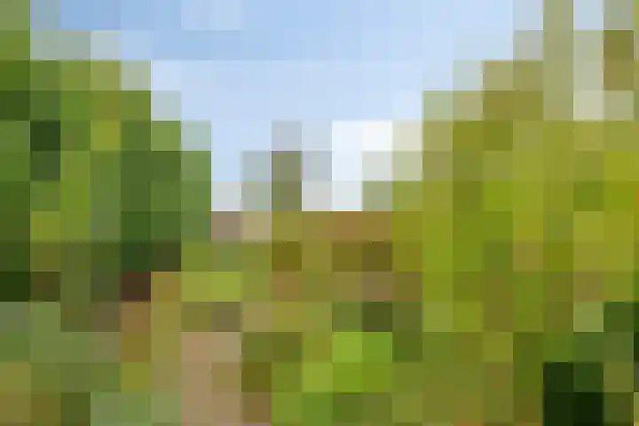 IJsseldijk-Noord 63 Ouderkerk aan den IJssel thumbnail 28