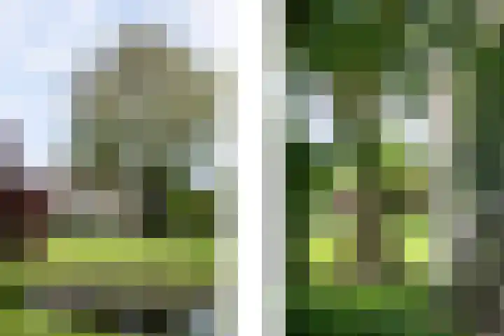 IJsseldijk-West 35 Ouderkerk aan den IJssel thumbnail 101
