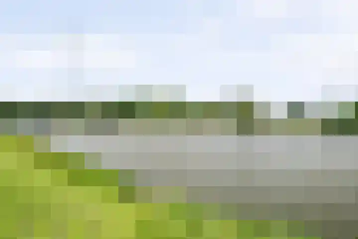 IJsseldijk-West 35 Ouderkerk aan den IJssel thumbnail 12