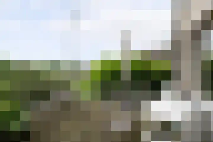 IJsseldijk-West 35 Ouderkerk aan den IJssel thumbnail 26