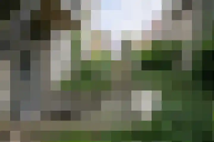 IJsseldijk-West 35 Ouderkerk aan den IJssel thumbnail 32