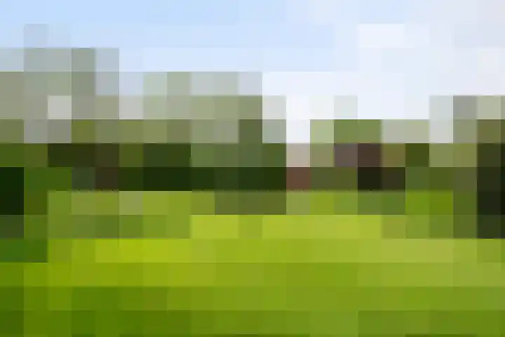 IJsseldijk-West 35 Ouderkerk aan den IJssel thumbnail 75