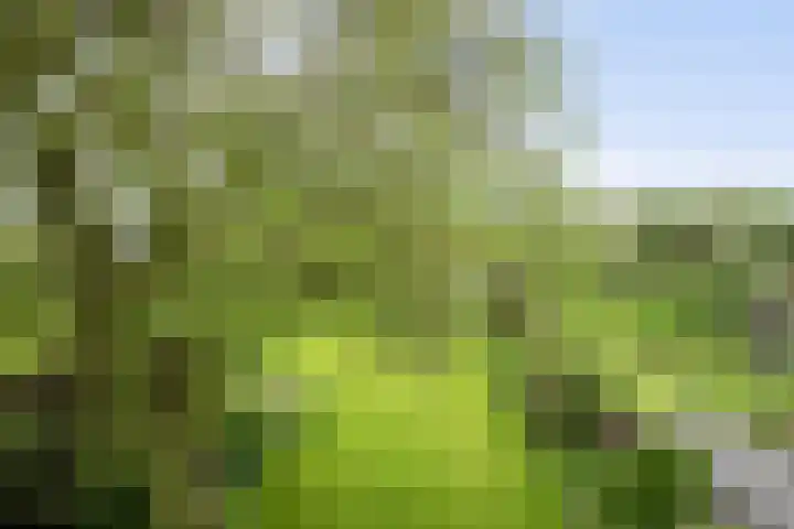 IJsseldijk-West 35 Ouderkerk aan den IJssel thumbnail 76