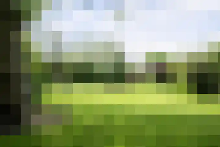 IJsseldijk-West 35 Ouderkerk aan den IJssel thumbnail 78