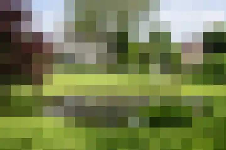IJsseldijk-West 35 Ouderkerk aan den IJssel thumbnail 80