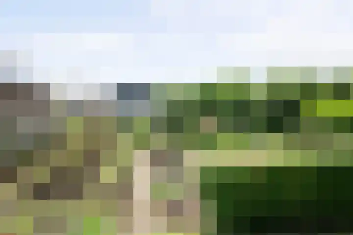 IJsseldijk-West 35 Ouderkerk aan den IJssel thumbnail 85