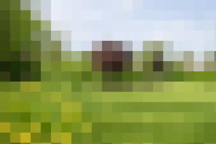 IJsseldijk-West 35 Ouderkerk aan den IJssel thumbnail 92