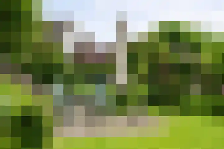 IJsseldijk-West 35 Ouderkerk aan den IJssel thumbnail 95
