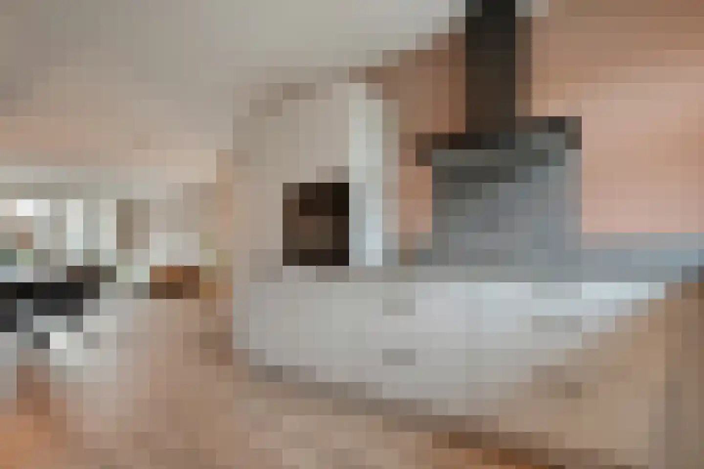 IJsselgouwe 27 Heeten thumbnail 17