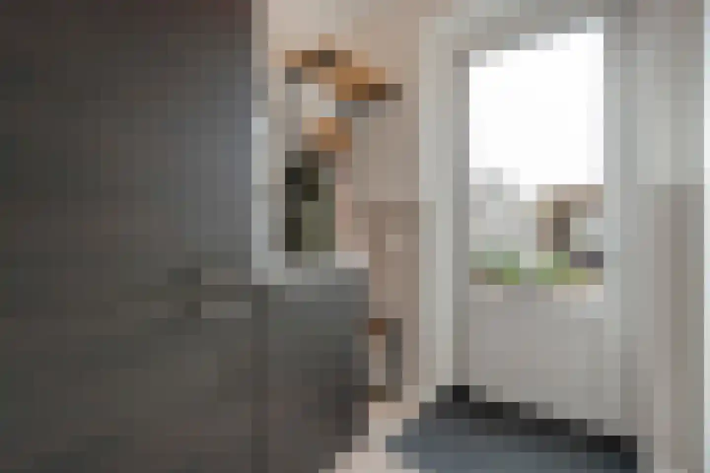 IJsselgouwe 27 Heeten thumbnail 19