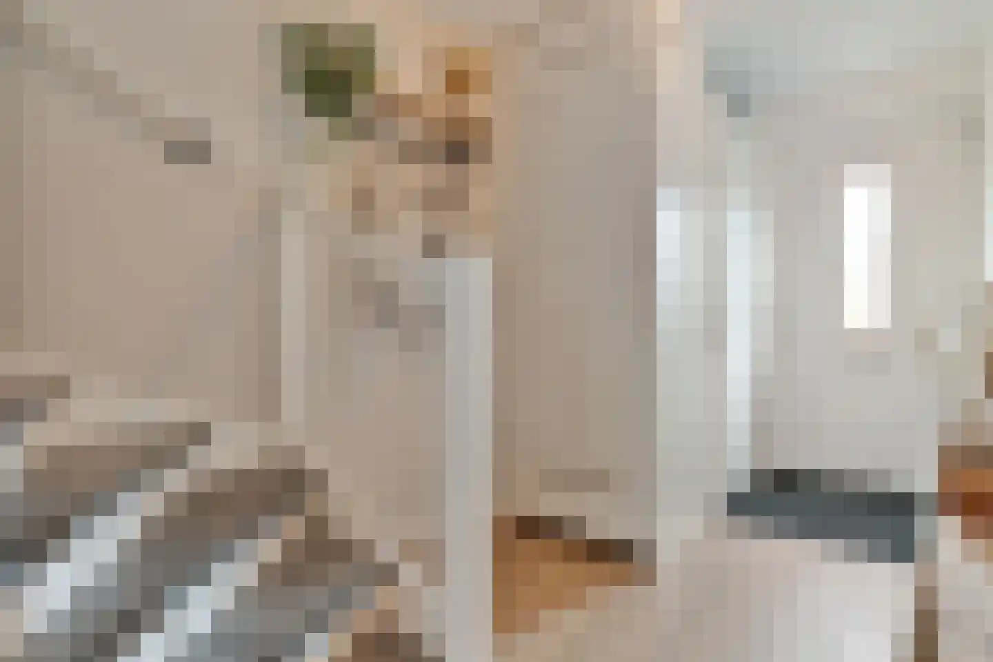 IJsselgouwe 27 Heeten thumbnail 5