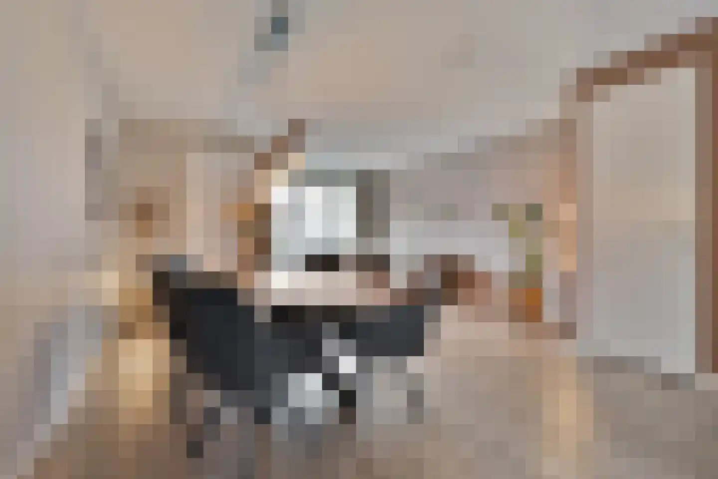IJsselgouwe 27 Heeten thumbnail 9