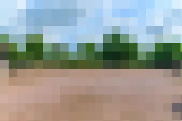 IJsselhammerweg 2 IJsselham thumbnail 63
