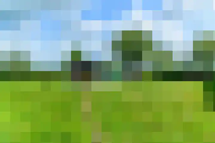 IJsselhammerweg 2 IJsselham thumbnail 69