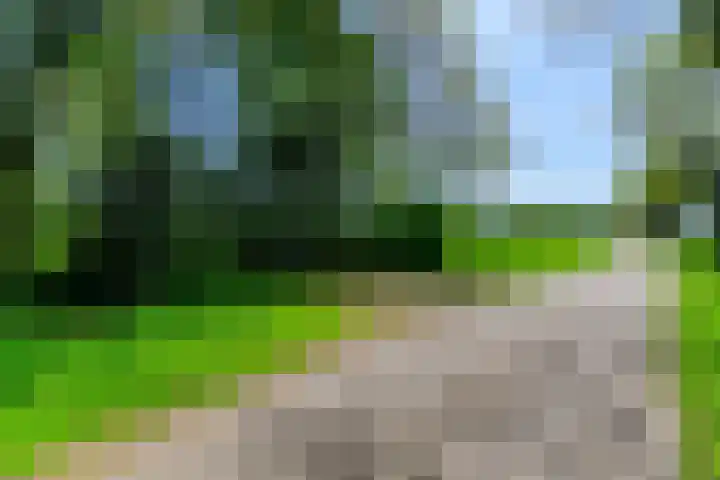 IJsselhammerweg 4 IJsselham thumbnail 4