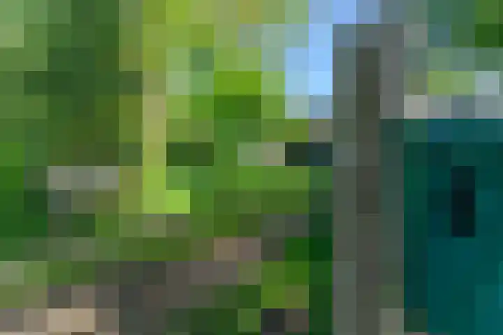 IJsselhammerweg 4 IJsselham thumbnail 6
