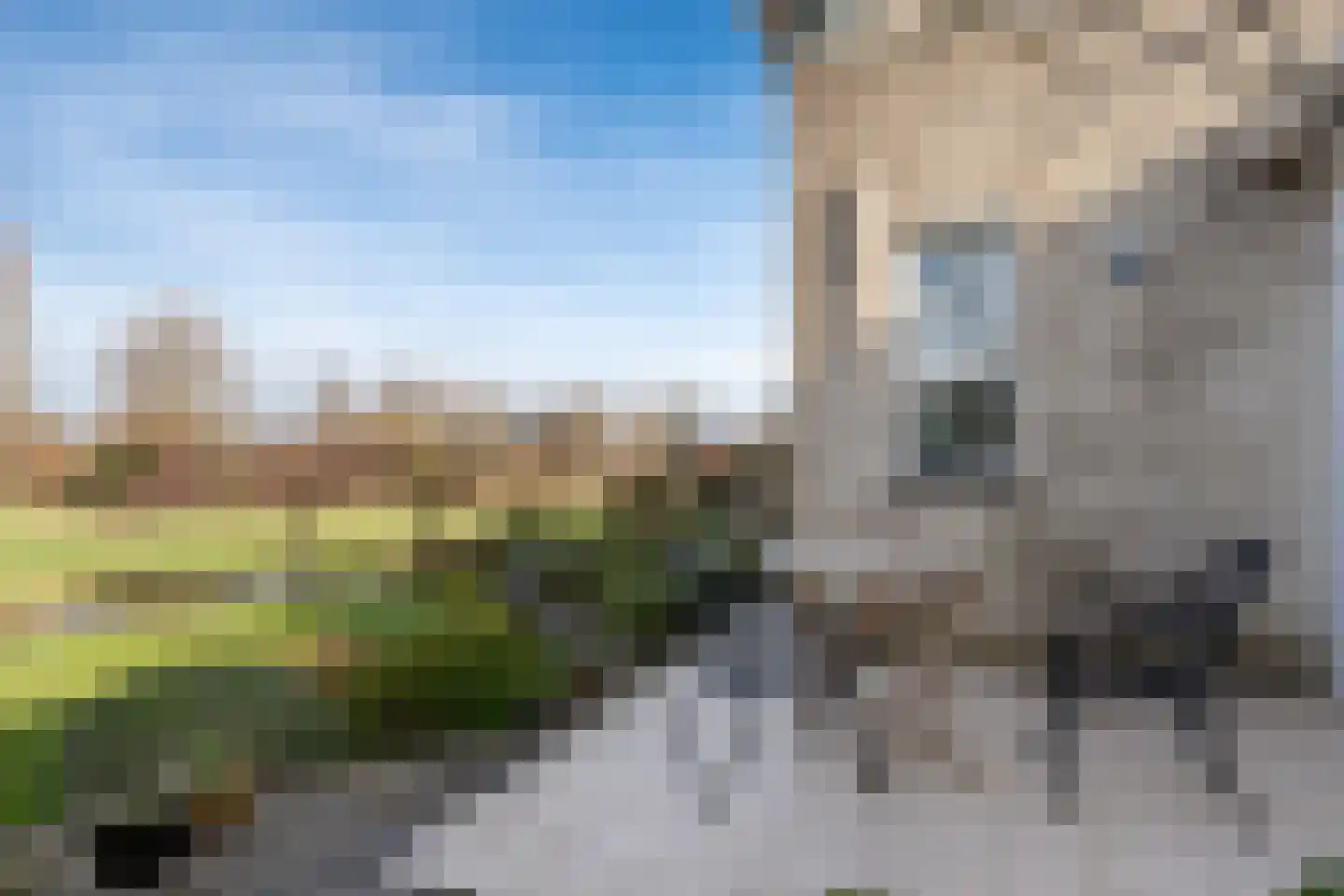 IJsselhoevedreef 26 Vlaardingen thumbnail 41