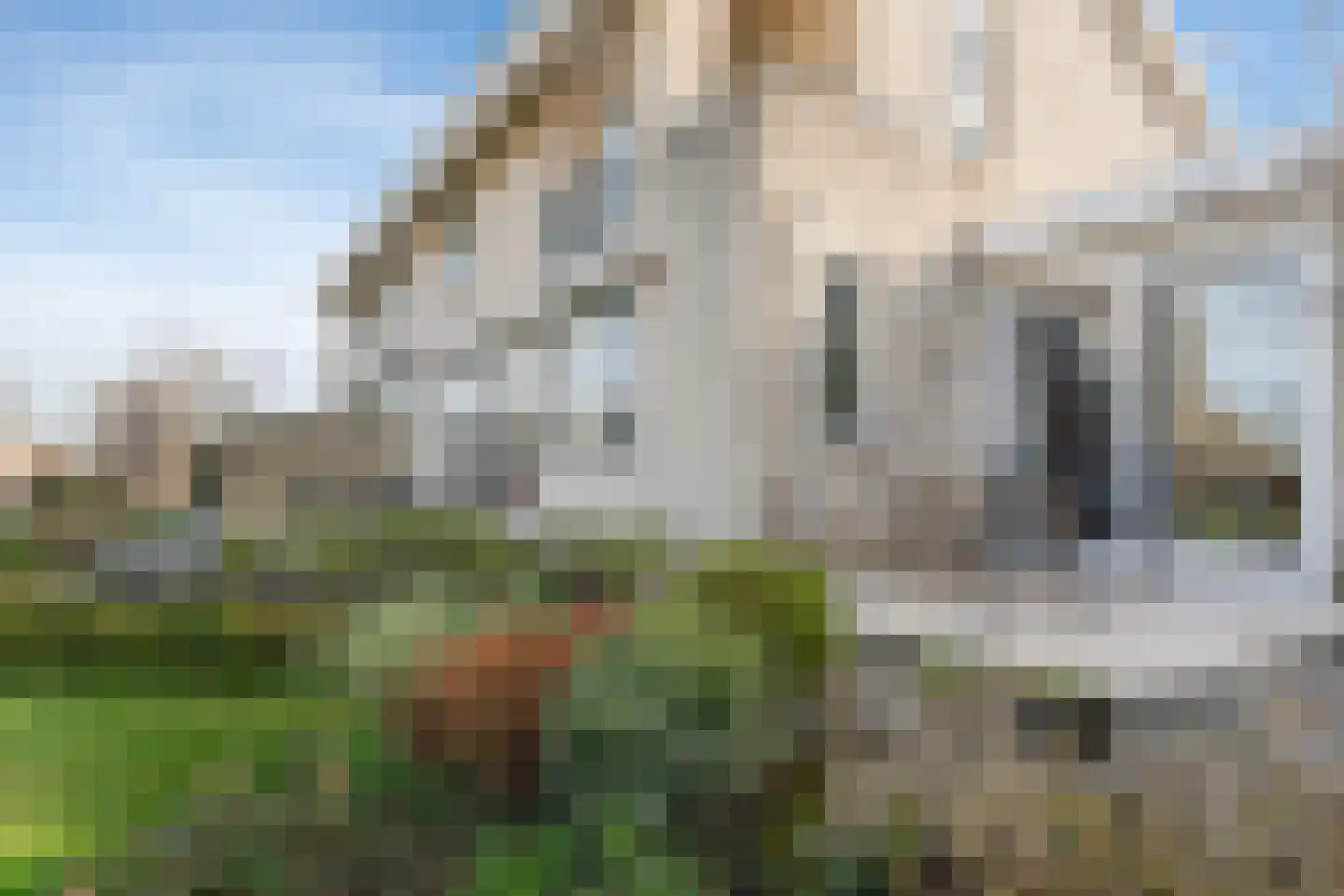 IJsselhoevedreef 26 Vlaardingen thumbnail 43