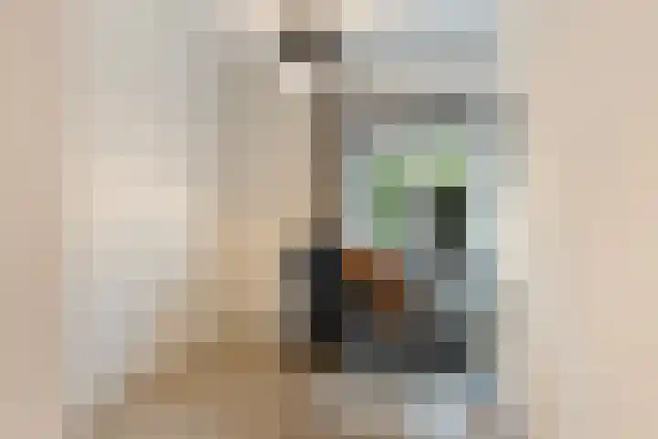 IJsselkade 1 e Zutphen thumbnail 22