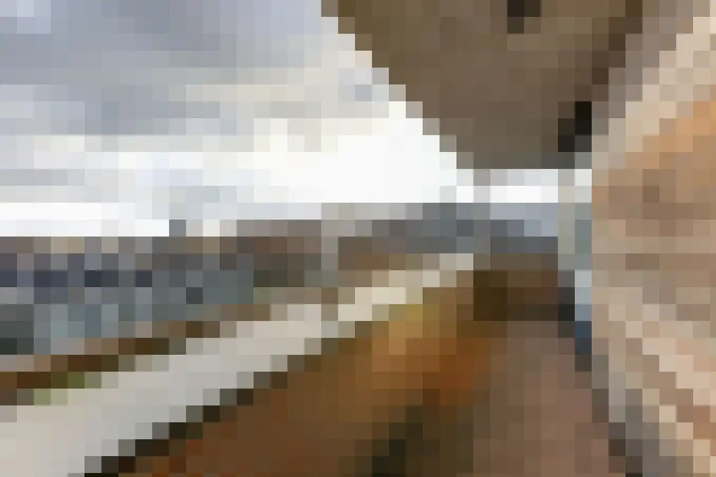 IJsselkade 11 02 Doetinchem thumbnail 21