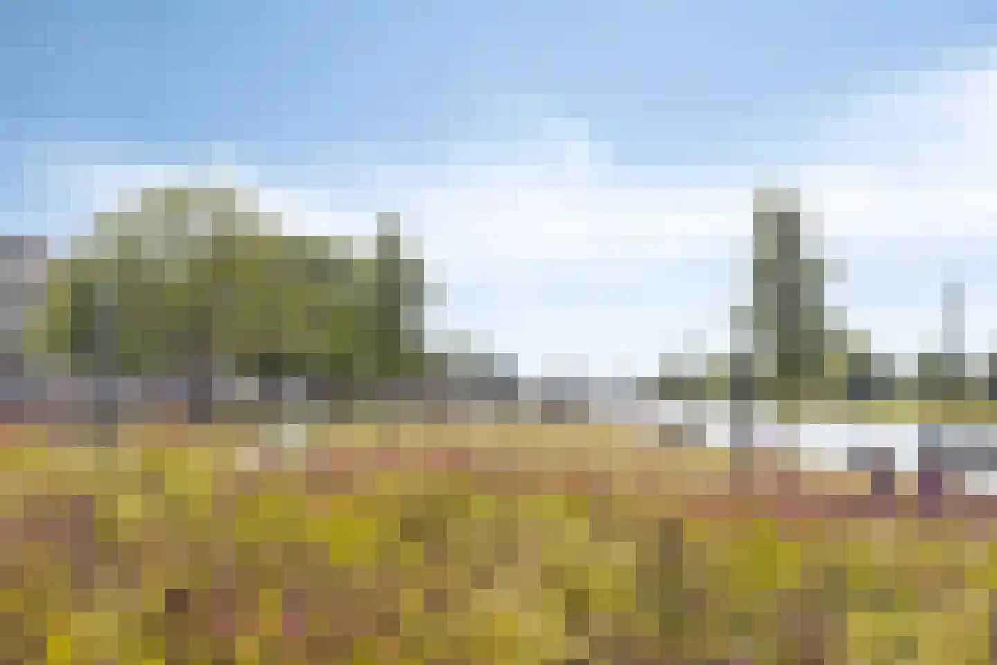 IJsselkade 14 a Zutphen thumbnail 44