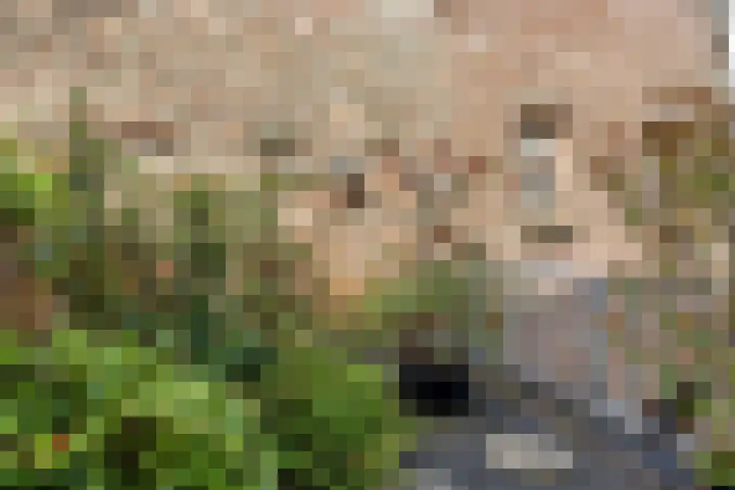 IJsselkade 17 I Kampen thumbnail 34
