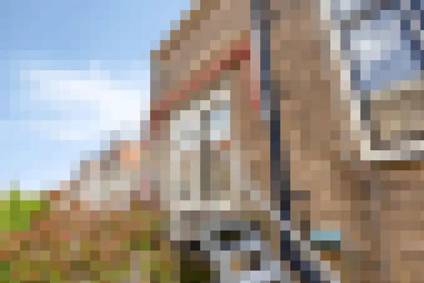 IJsselkade 17 I Kampen thumbnail 35