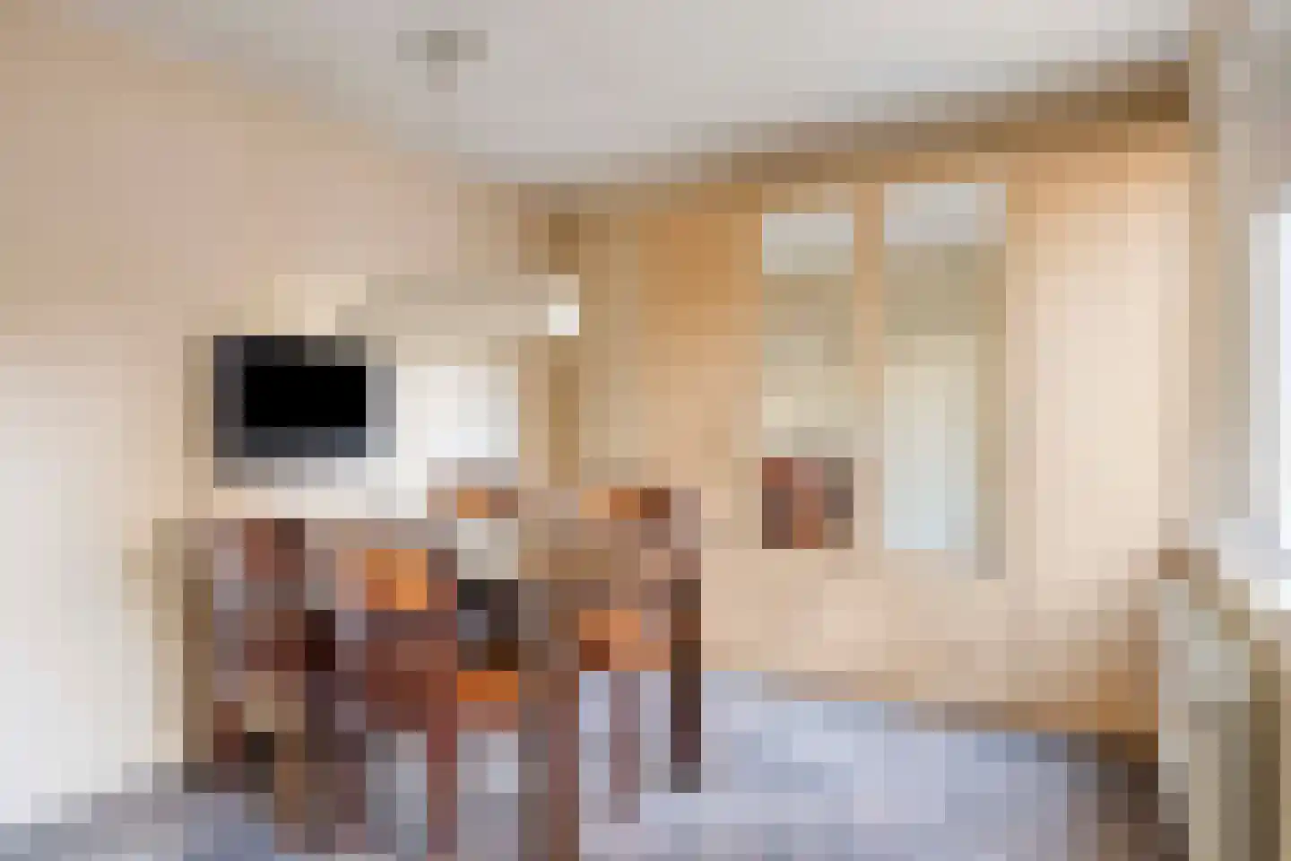 IJsselkade 17 Kampen thumbnail 23