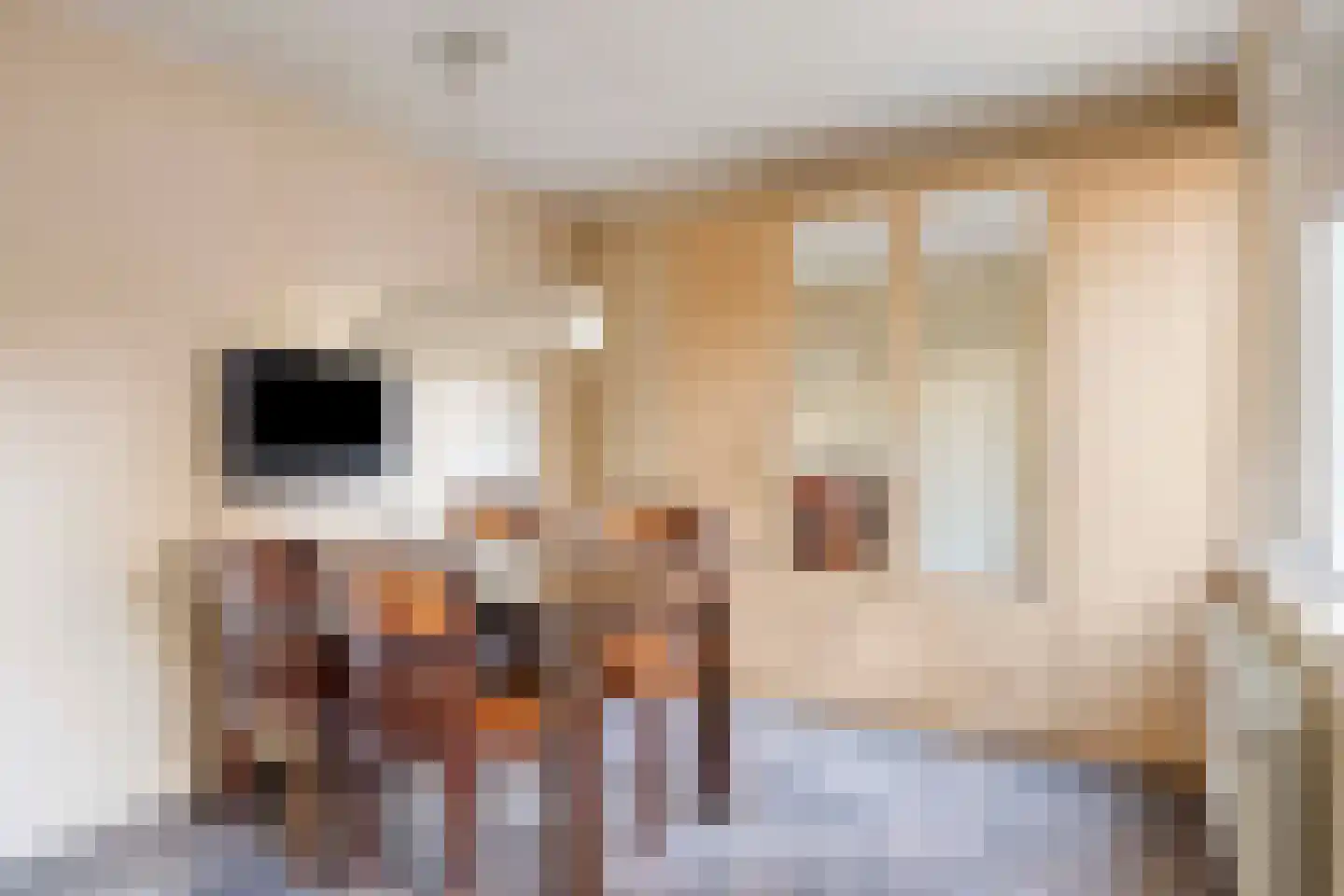 IJsselkade 17 Kampen thumbnail 24