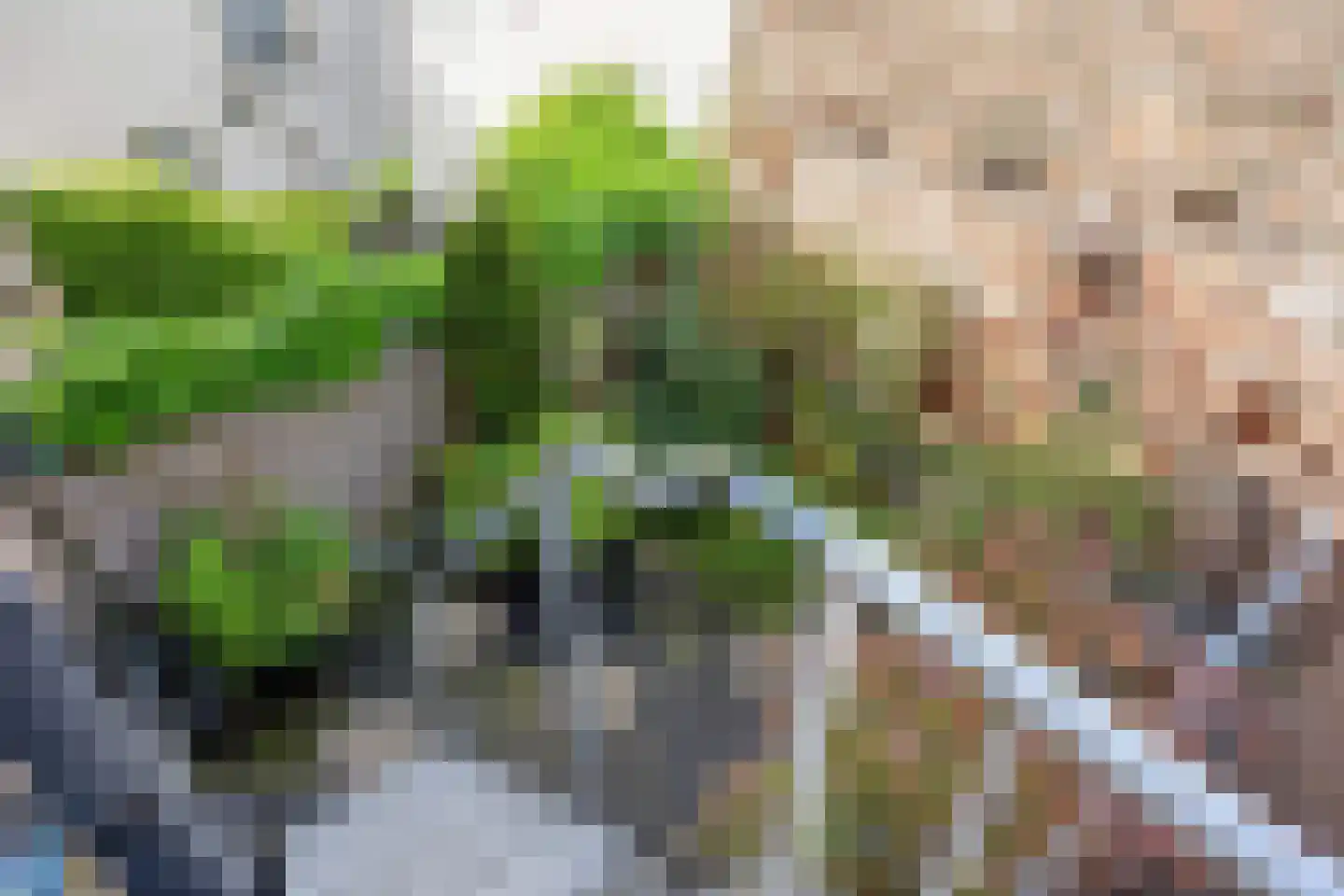 IJsselkade 17 Kampen thumbnail 7