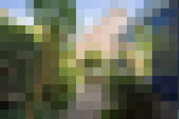 IJsselkade 20 Deventer thumbnail 33